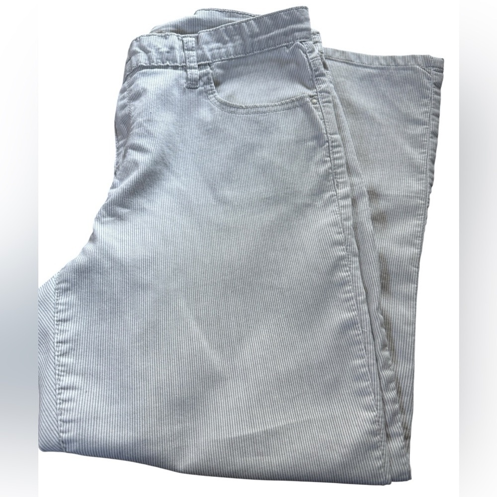R Jeans Light Gray Striped Pants, zip/button closure, stretch, size 31, GUC